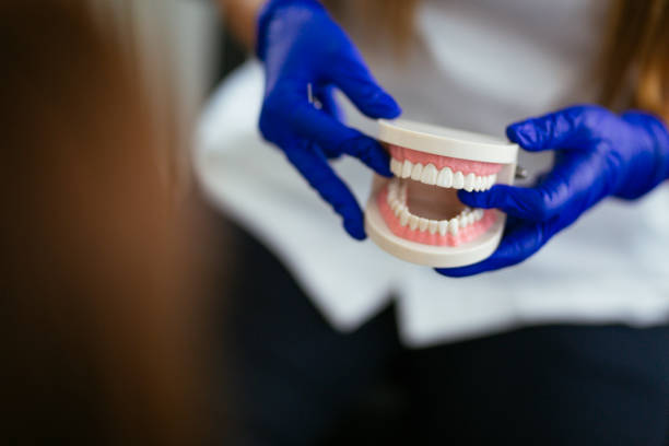 Trusted Kitsap Lake, WA Holistic Dental Care Services Experts